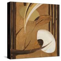 Mini Eco-Chic I-Patricia Pinto-Stretched Canvas