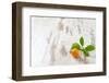 Mini-Orange with Foliage on White Wooden Table-Jana Ihle-Framed Photographic Print