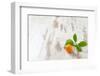 Mini-Orange with Foliage on White Wooden Table-Jana Ihle-Framed Photographic Print