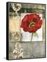 Mini Poppy Poetry I-Jennifer Goldberger-Framed Stretched Canvas