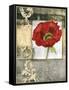 Mini Poppy Poetry I-Jennifer Goldberger-Framed Stretched Canvas