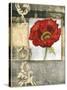 Mini Poppy Poetry I-Jennifer Goldberger-Stretched Canvas