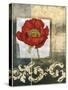 Mini Poppy Poetry II-Jennifer Goldberger-Stretched Canvas