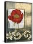 Mini Poppy Poetry II-Jennifer Goldberger-Framed Stretched Canvas