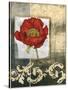 Mini Poppy Poetry II-Jennifer Goldberger-Stretched Canvas