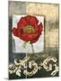 Mini Poppy Poetry II-Jennifer Goldberger-Mounted Art Print