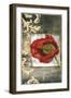 Mini Poppy Poetry III-Jennifer Goldberger-Framed Art Print