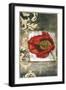 Mini Poppy Poetry III-Jennifer Goldberger-Framed Art Print