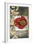 Mini Poppy Poetry III-Jennifer Goldberger-Framed Art Print