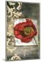 Mini Poppy Poetry III-Jennifer Goldberger-Mounted Art Print