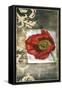 Mini Poppy Poetry III-Jennifer Goldberger-Framed Stretched Canvas