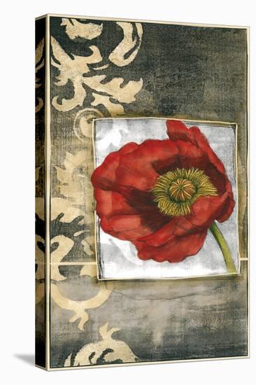 Mini Poppy Poetry III-Jennifer Goldberger-Stretched Canvas