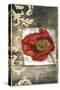 Mini Poppy Poetry III-Jennifer Goldberger-Stretched Canvas