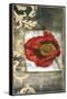 Mini Poppy Poetry III-Jennifer Goldberger-Framed Stretched Canvas