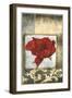 Mini Poppy Poetry IV-Jennifer Goldberger-Framed Art Print