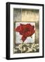 Mini Poppy Poetry IV-Jennifer Goldberger-Framed Art Print