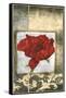 Mini Poppy Poetry IV-Jennifer Goldberger-Framed Stretched Canvas