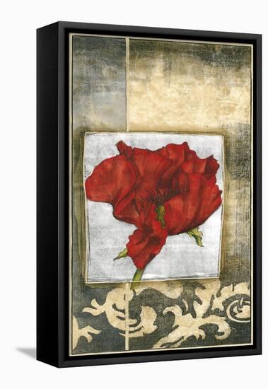 Mini Poppy Poetry IV-Jennifer Goldberger-Framed Stretched Canvas