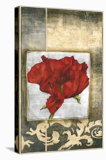 Mini Poppy Poetry IV-Jennifer Goldberger-Stretched Canvas