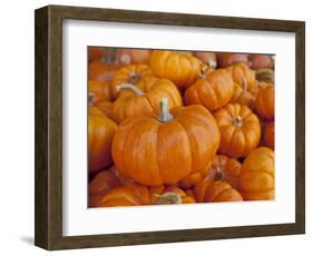 Mini pumpkins at fruit stand, Los Angeles, CA-Rob Sheppard-Framed Photographic Print