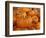 Mini pumpkins at fruit stand, Los Angeles, CA-Rob Sheppard-Framed Photographic Print