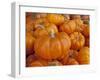 Mini pumpkins at fruit stand, Los Angeles, CA-Rob Sheppard-Framed Photographic Print