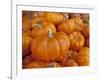 Mini pumpkins at fruit stand, Los Angeles, CA-Rob Sheppard-Framed Photographic Print