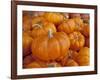 Mini pumpkins at fruit stand, Los Angeles, CA-Rob Sheppard-Framed Photographic Print