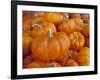 Mini pumpkins at fruit stand, Los Angeles, CA-Rob Sheppard-Framed Photographic Print