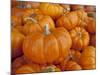 Mini pumpkins at fruit stand, Los Angeles, CA-Rob Sheppard-Mounted Photographic Print