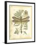 Mini Regal Dragonfly III-Vision Studio-Framed Art Print