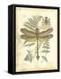 Mini Regal Dragonfly III-Vision Studio-Framed Stretched Canvas