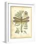 Mini Regal Dragonfly III-Vision Studio-Framed Art Print