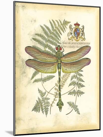 Mini Regal Dragonfly III-Vision Studio-Mounted Art Print