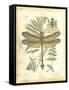 Mini Regal Dragonfly III-Vision Studio-Framed Stretched Canvas