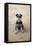 Mini Schnauzer Dog on Beach-null-Framed Stretched Canvas