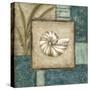 Mini Shell Montage I-Chariklia Zarris-Stretched Canvas