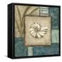 Mini Shell Montage I-Chariklia Zarris-Framed Stretched Canvas