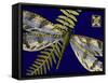Mini Shimmering Dragonfly I-Vision Studio-Framed Stretched Canvas