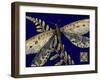 Mini Shimmering Dragonfly III-Vision Studio-Framed Art Print