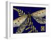 Mini Shimmering Dragonfly III-Vision Studio-Framed Art Print