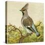 Mini Vintage Birds VIII-null-Stretched Canvas