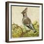 Mini Vintage Birds VIII-null-Framed Art Print