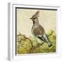 Mini Vintage Birds VIII-null-Framed Art Print