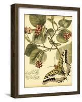 Mini Whimsical Butterflies I-Vision Studio-Framed Art Print