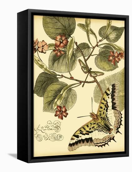 Mini Whimsical Butterflies I-Vision Studio-Framed Stretched Canvas