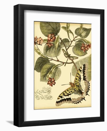 Mini Whimsical Butterflies I-Vision Studio-Framed Art Print