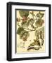 Mini Whimsical Butterflies I-Vision Studio-Framed Art Print