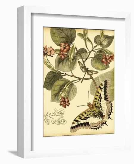 Mini Whimsical Butterflies I-Vision Studio-Framed Art Print