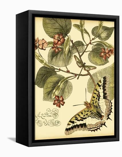 Mini Whimsical Butterflies I-Vision Studio-Framed Stretched Canvas